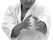 Akita Sensei